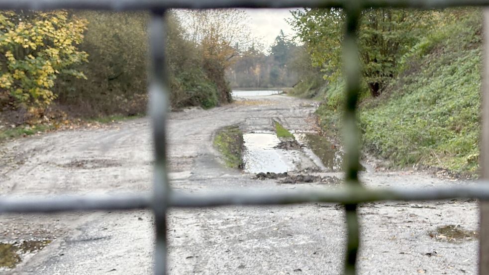 An der Gronewoldstraße, zwischen Klostermoor und Altburlage, könnte in der Sandabbaugrube ein Badesee entstehen. Foto: Marion Janßen