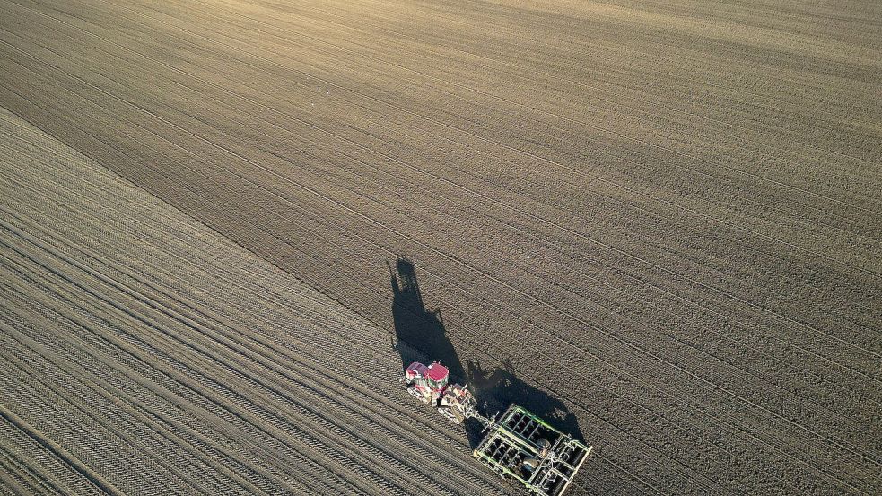 Die Bauern befürchten schwierige Geschäftsbedingungen 2026. (Archivbild) Foto: Jan Woitas
