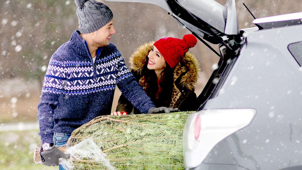 So ist es falsch: Der Weihnachtsbaum muss mit dem Stumpf nach vorn transportiert werden. Foto: TNM/AdobeStock /pikselstock