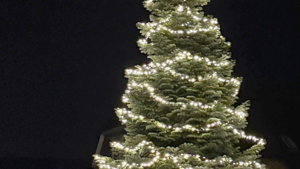 Eindrucksvoll erstrahlt die Tanne vor dem Haus der Familie Goldsweer am Rajen 269 in Rhauderfehn im Dunkel der Adventszeit im Lichterglanz. Das wird sie auch im kommenden Jahr noch ein letztes Mal tun. Foto: privat