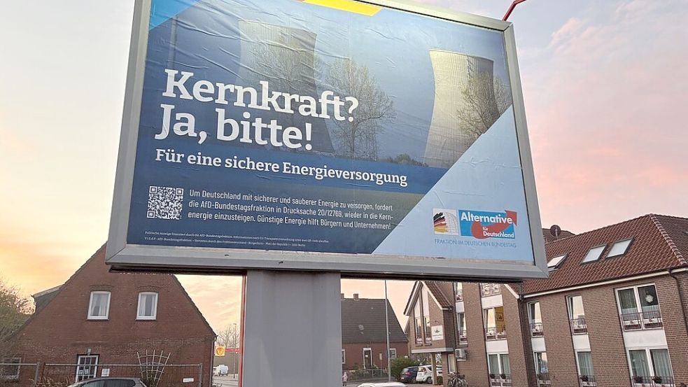 AfD-Plakate wie dieses in Emden-Borssum stehen gerade an mehreren Stellen in Ostfriesland. Foto: Ute Kabernagel
