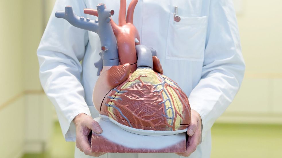 Die EU-Kommission hat ein Gesundheitspaket vorgelegt. (Symbolbild) Foto: Sebastian Kahnert