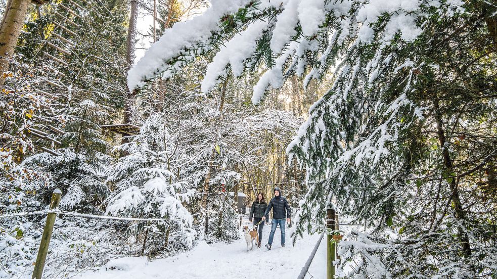 In Ostfriesland hat es am Freitag geschneit. Es sind tolle Fotos entstanden, hier eins aus dem Egelser Wald. Foto: Klaus Ortgies