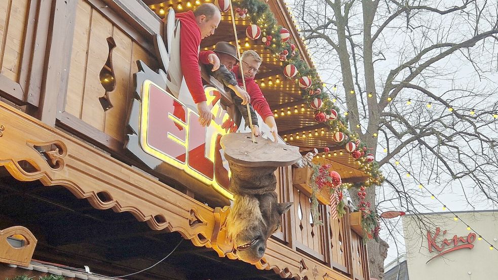 Um die herabgestürzten Schaufeln wieder am Kopf befestigen zu können, musste der Elch von der Fassade abmontiert werden. Foto: Tatjana Gettkowski