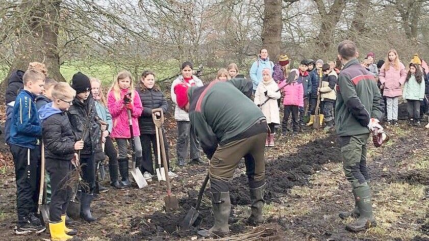 Rund 65 Schülerinnen und Schüler der vierten Klassen der Grundschule Ostrhauderfehn pflanzten Mitte Dezember 2025 gemeinsam mit ihren Lehrkräften und Unterstützern etwa 3.000 junge Bäume und Sträucher auf einer ein Hektar großen Fläche an der 1. Südwieke. Foto: Gemeinde Ostrhauderfehn