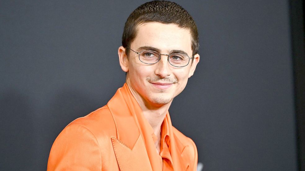 Timothée Chalamet bei der Premiere seines neuen Films „Marty Supreme“. Foto: Evan Agostini/Invision/AP/dpa