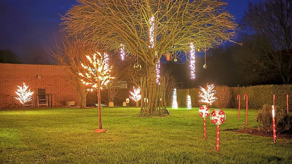 Ihren Garten in Holte haben Stefan Fletemeyer und Tanja Rhoden weihnachtlich geschmückt - und zwar mit kleinen Lichterbäumen, Zuckerstangen und Weihnachtskugeln im Baum. Foto: Stefan Fletemeyer