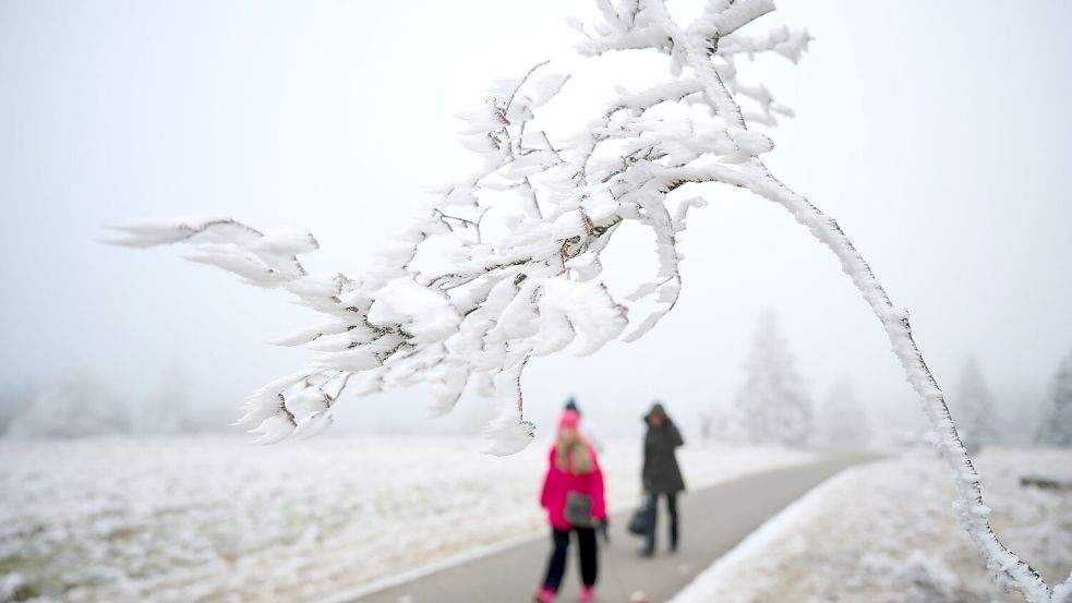 Schnee zu Weihnachten wird es nur vereinzelt geben. Foto: Bernd Thissen