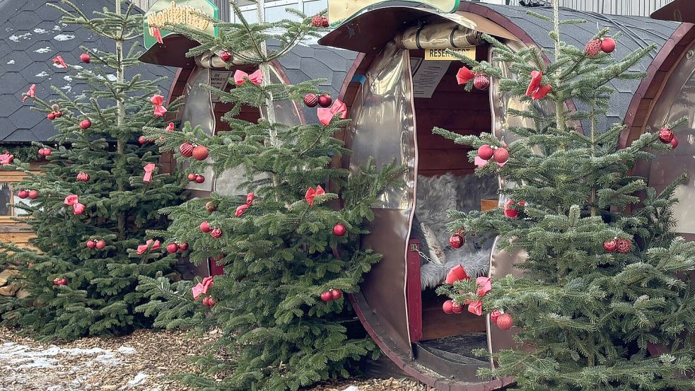 An vielen Stellen auf dem Auricher Weihnachtsmarkt stehen Tannenbäume. Foto: Pia Pentzlin