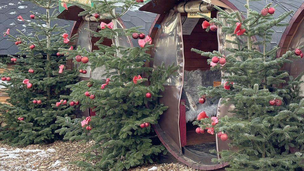 An vielen Stellen auf dem Auricher Weihnachtsmarkt stehen Tannenbäume. Foto: Pia Pentzlin