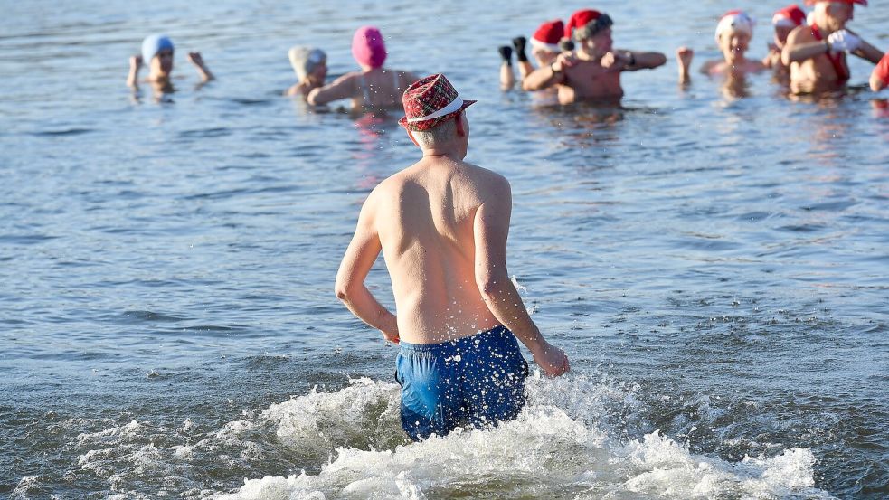 Nicht nur an Weihnachten und Neujahr baden die Berliner Seehunde bei eiskalten Temperaturen im Berliner Orankesee. Foto: Paul Zinken