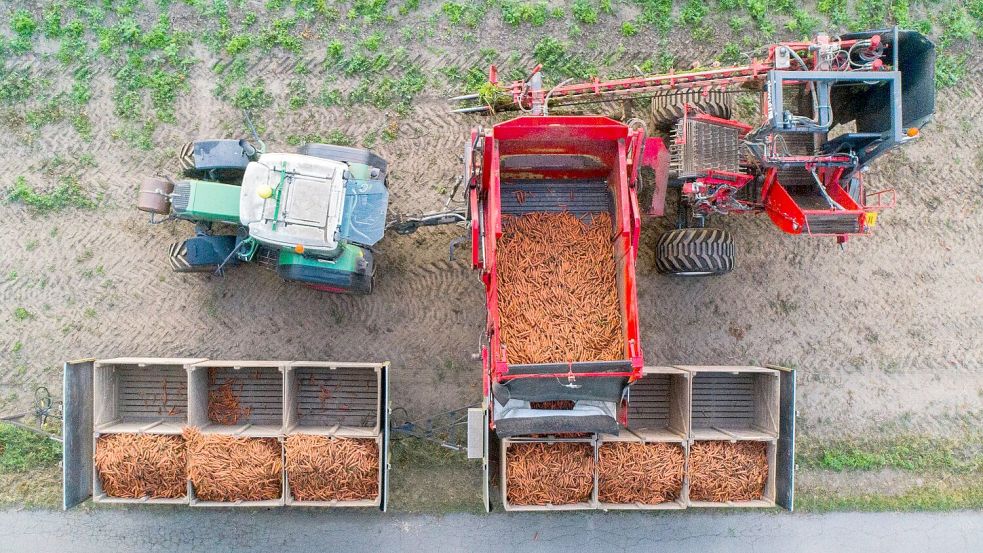 Der Öko-Anteil an der Agrarfläche wächst nur sehr langsam. (Archivbild) Foto: Julian Stratenschulte