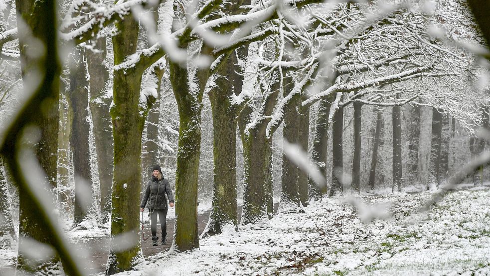 Der Julianenpark ist heute eine schöne Kulisse im Winter: In der Nachkriegszeit war er ein Ort, an den die Leute in großer Not kamen. Foto: Klaus Ortgies/Archiv