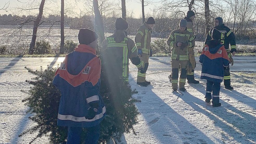 Auch im vergangenen Jahr wurden in Ramsloh und Scharrel die ausgedienten Weihnachtstannen von den Jugendfeuerwehren einrgesammelt. Foto: Feuerwehr