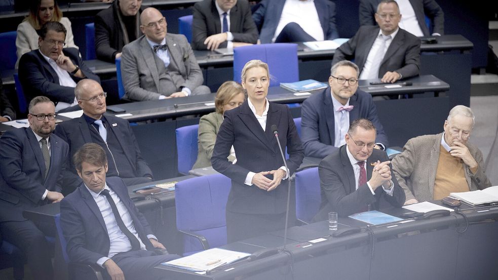Trotz Brandmauer: Die AfD ist die zweitstärkste Kraft im Bundestag. Foto: dpa/Stefan Boness