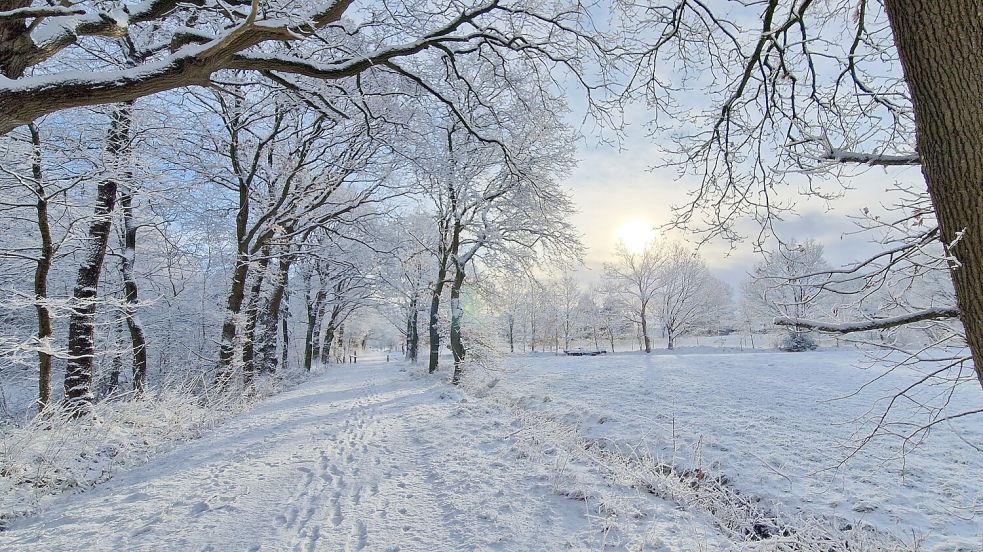Auch im Plaggenburger Moor ist alles weiß. Foto: Gaby Olthoff