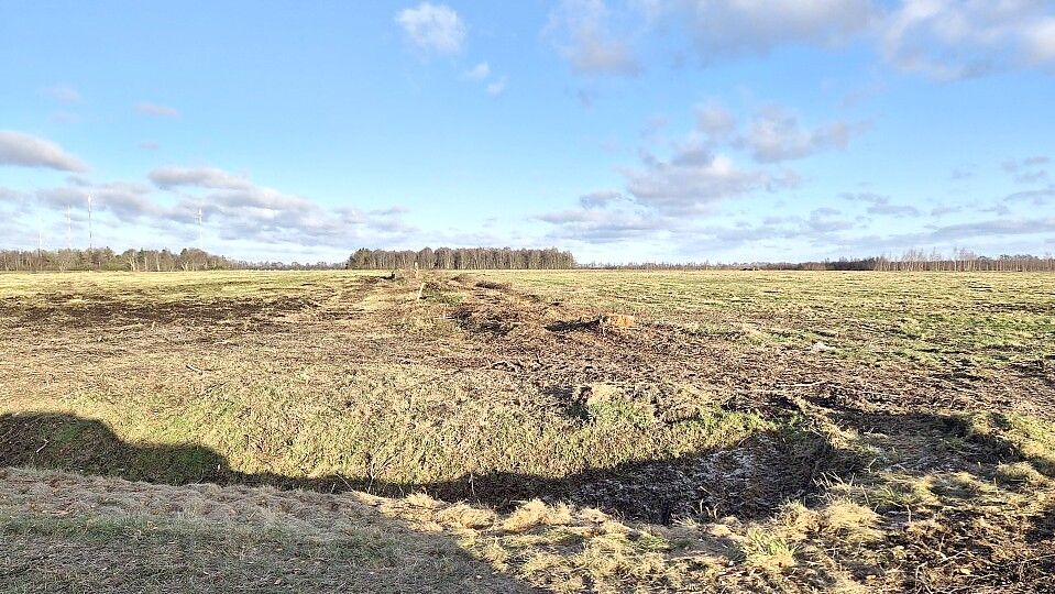 Auf dieser rund 14 Hektar großen Fläche bei Bockhorst soll ein neues Hochmoor entstehen. Die Vorbereitungen dafür haben begonnen, Büsche sind entfernt worden. Foto: Gerhard Block.