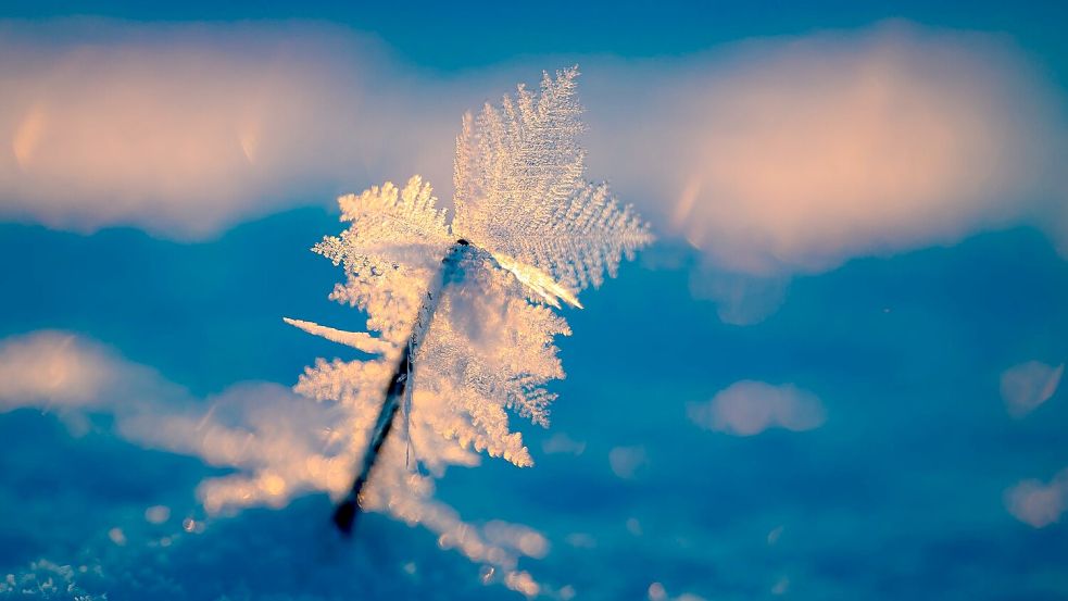 Eisige Temperaturen können für Menschen ohne Wohnung lebensgefährlich sein. Foto: Patrick Pleul