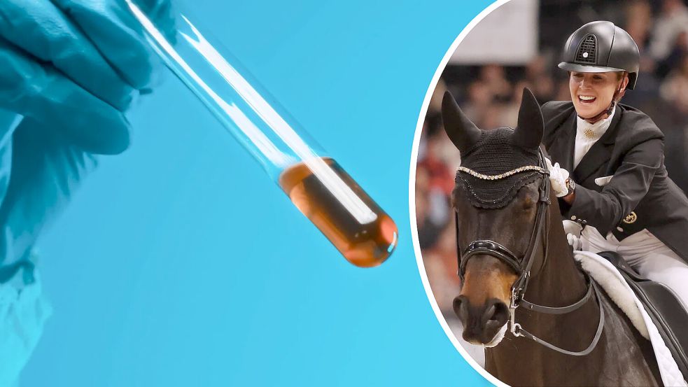 Das Bornavirus könnte für den Tod von Jessica von Bredow-Werndls Dressurpferd Diallo sein. Foto: IMAGO/Zoonar/Dmitri Maruta, IMAGO/Pressefoto Baumann