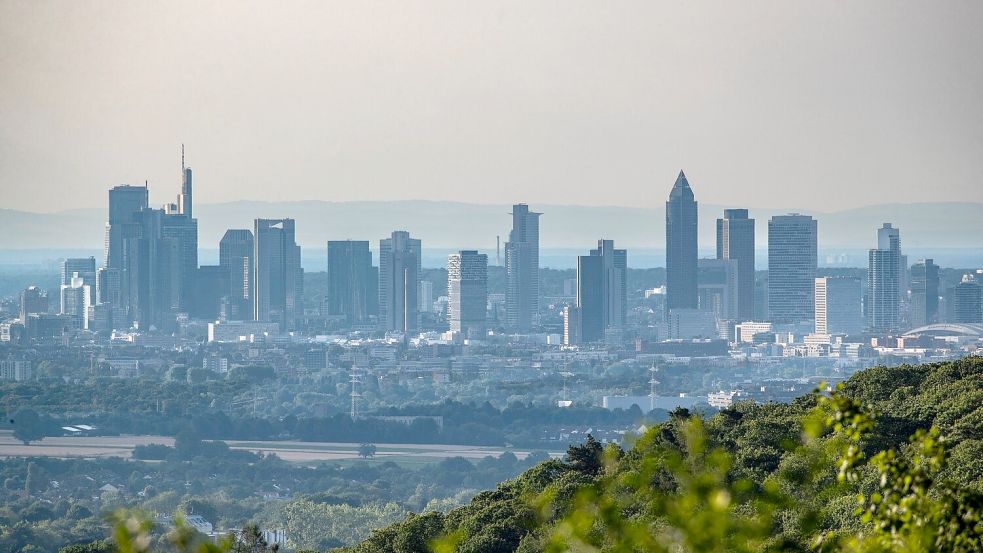 Der Umweltverband WWF kritisiert Banken für fehlende Klimaschutzbemühungen Foto: Helmut Fricke/dpa