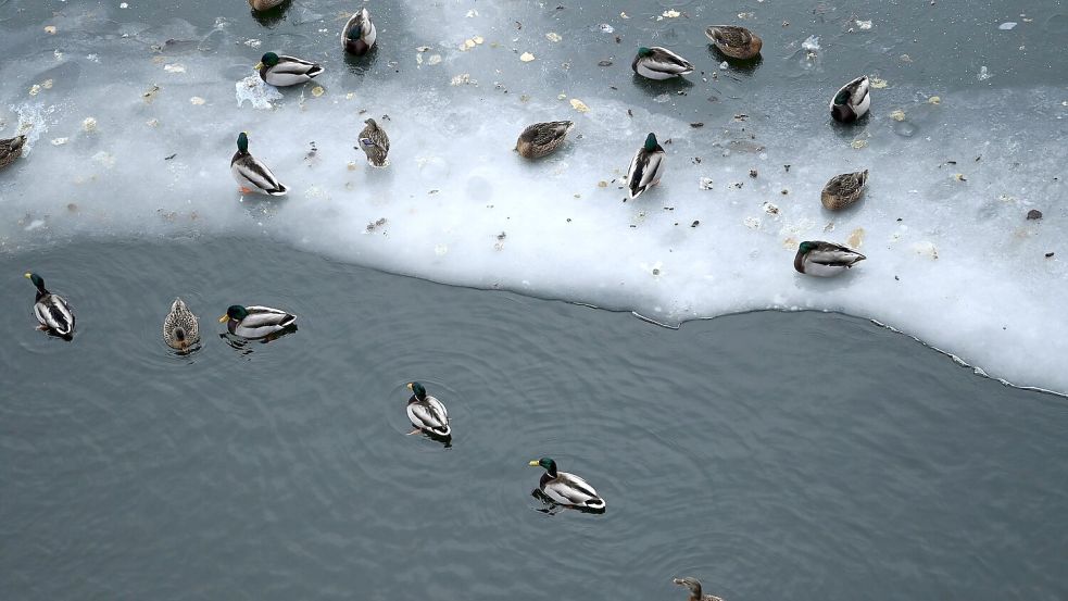 Nun steht vor allem dem Osten Deutschlands Glatteis-Gefahr bevor. Foto: Elisa Schu/dpa