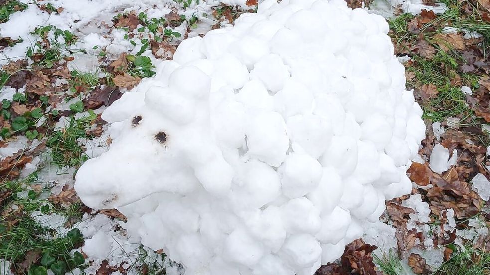 Ein echt ostfriesisches Schneeschaf baute Lena als Hausaufgabe für den Kunstunterricht. Foto: privat