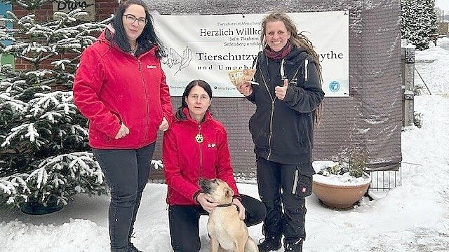 Auch der Tierschutzverein Friesoythe erhält 810 Euro vom Hundeverein. Der kleine Racker auf dem Foto heißt übrigens Gangster und ist vier Monate. IRJGV/Andrea Wiese