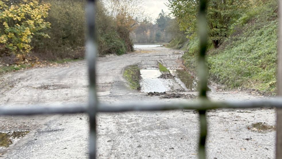 An der Gronewoldstraße in Rhauderfehn könnte in der Sandabbaugrube ein Badesee entstehen. Doch die Kritik an dem Vorhaben nimmt zu. Archivfoto: Marion Janßen