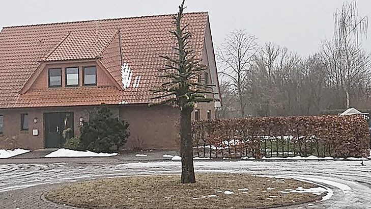 Die Buche steht in der Mitte eines Wendekreises in Ramsloh. Foto: Privat