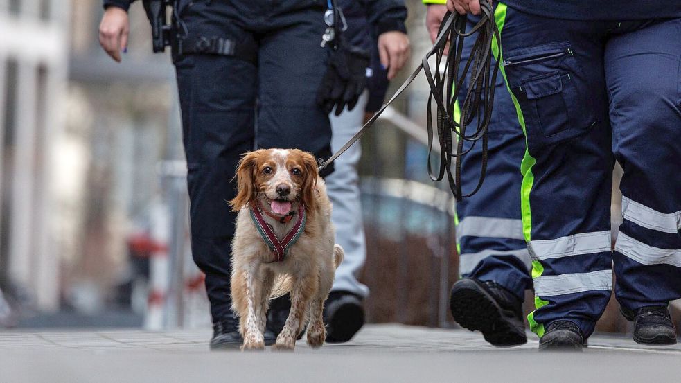 Auch ein Hund war bei der Suche im Einsatz. Foto: Hannes P. Albert/dpa