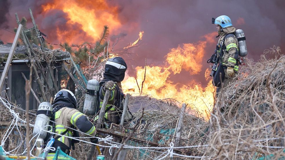 Über 1.200 Einsatzkräfte waren gegen die Flammen im Einsatz. Foto: Choi Jin-seok/Newsis/dpa