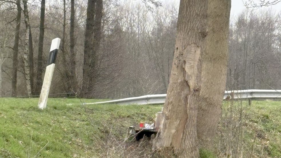 Die Bäume an der Unfallstelle werden demnächst entfernt. Foto: Horst Kruse