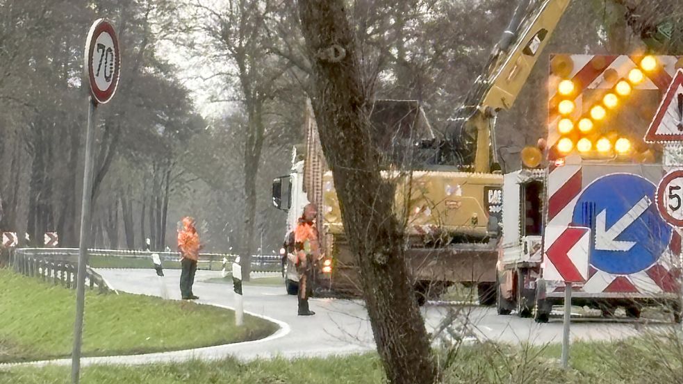 Im Bereich einer scharfen Kurve an der Langholter Straße wurden Bäume entfernt. Sie waren nicht mehr standsicher. Foto: Horst Kruse