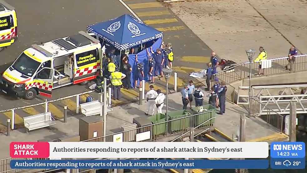 Nach einem mutmaßlichen Haiangriff ist ein Junge in kritischem Zustand. Foto: Supplied