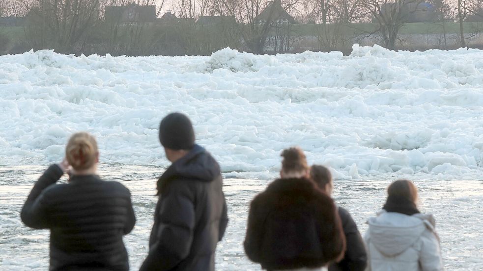 Zahlreiche Menschen nutzten das Wochenendende, um an der Elbe ein seltenes Naturspektakel zu bewundern: Eisberge auf dem Fluss. Foto: Bodo Marks