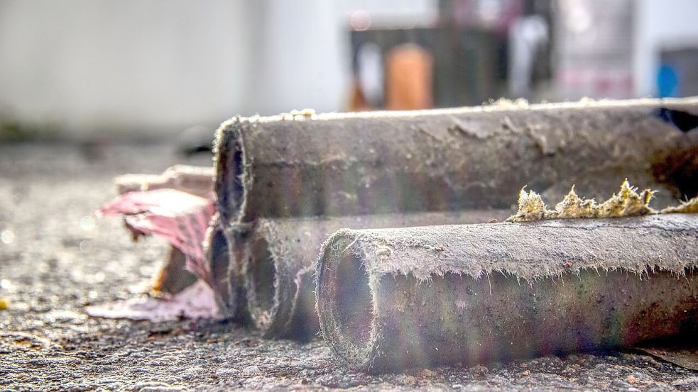 Naturschützer wünschen sich ein Böllerverbot in Papenburg. Foto: Pixabay