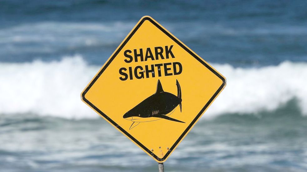 Experten erklären das höhere Aufkommen von Bullenhaien vor der Küste auch mit Folgen des verstärkten Klimawandels. Foto: Mark Baker/AP/dpa