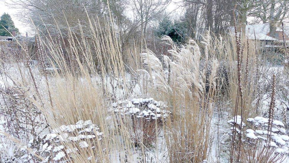 Der winterliche Garten strahlt Ruhe aus. Foto: Karin Berends-Lüürßen