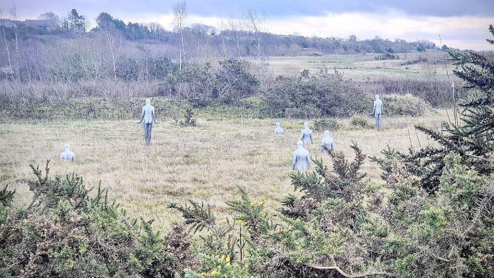 Mitten auf einem Acker in Wales tauchen über Nacht 15 menschliche Gestalten auf. Mysteriös: So schnell wie sie aufgetaucht waren, verschwanden sie auch wieder. Foto: Sheryl Bishop