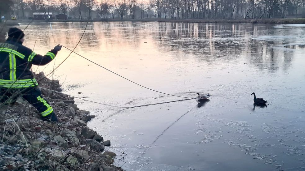 Die Ortsfeuerwehr Westrhauderfehn hat zwei Enten im Hahnentanger See befreit. Foto: Ortsfeuerwehr Westrhauderfehn
