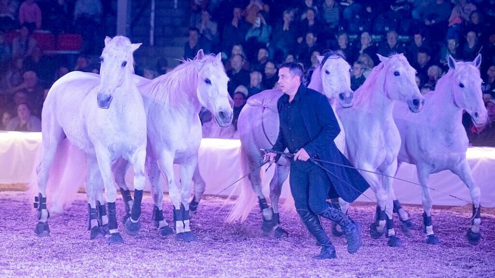 Beim Galaabend der Pferde, der am Sonnabend ab 20 Uhr in der Ostfrieslandhalle in Leer stattfindet, erleben die Zuschauer die faszinierende Verbindung von Anmut, Kraft und Zusammenspiel zwischen Mensch und Tier. Foto: Veranstalter