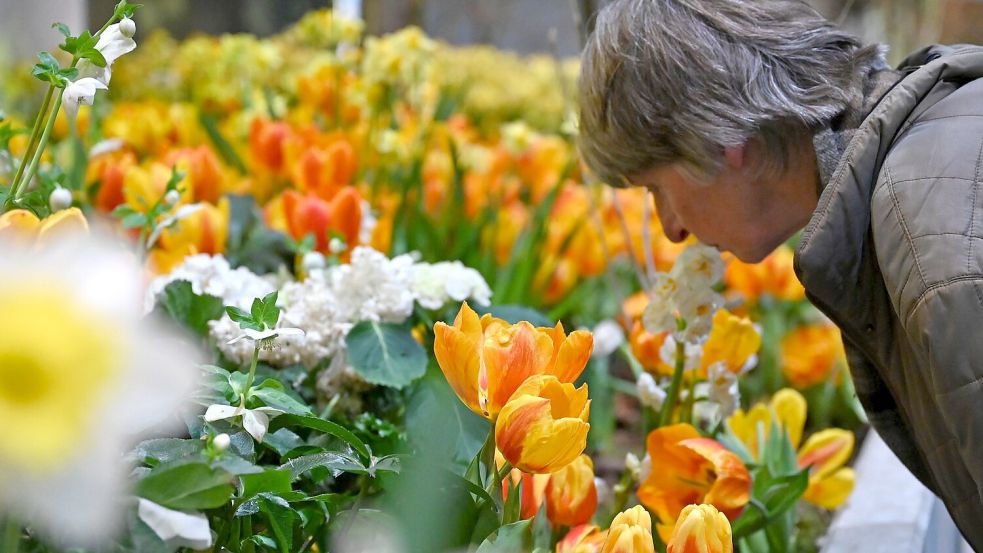Die Besucherzahl auf der diesjährigen Woche übertraf die Erwartungen deutlich. (Archivbild) Foto: Elisa Schu/dpa
