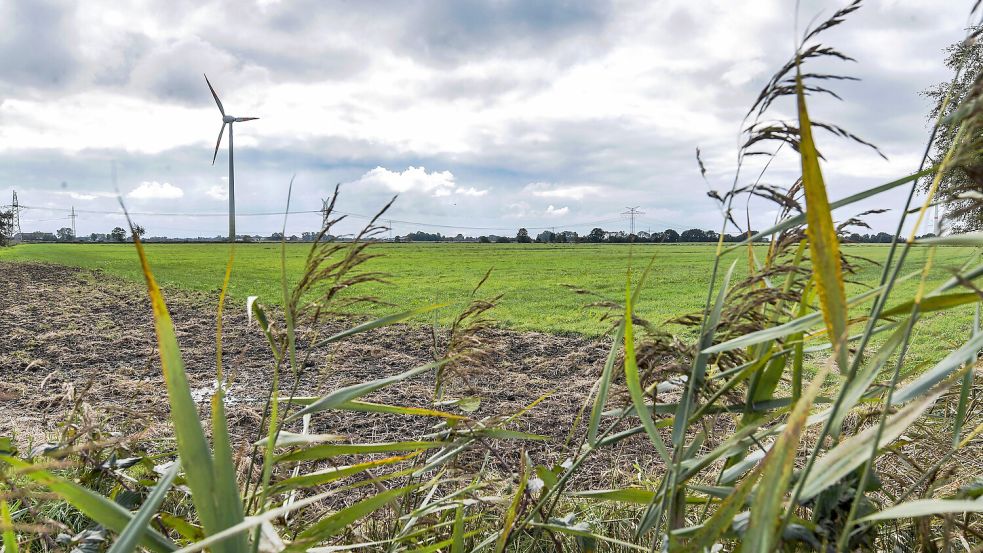 Auf Flächen, die jetzt noch überwiegend Grünland sind, soll ein riesiges Gewerbegebiet entstehen. Foto: Klaus Ortgies/Archiv