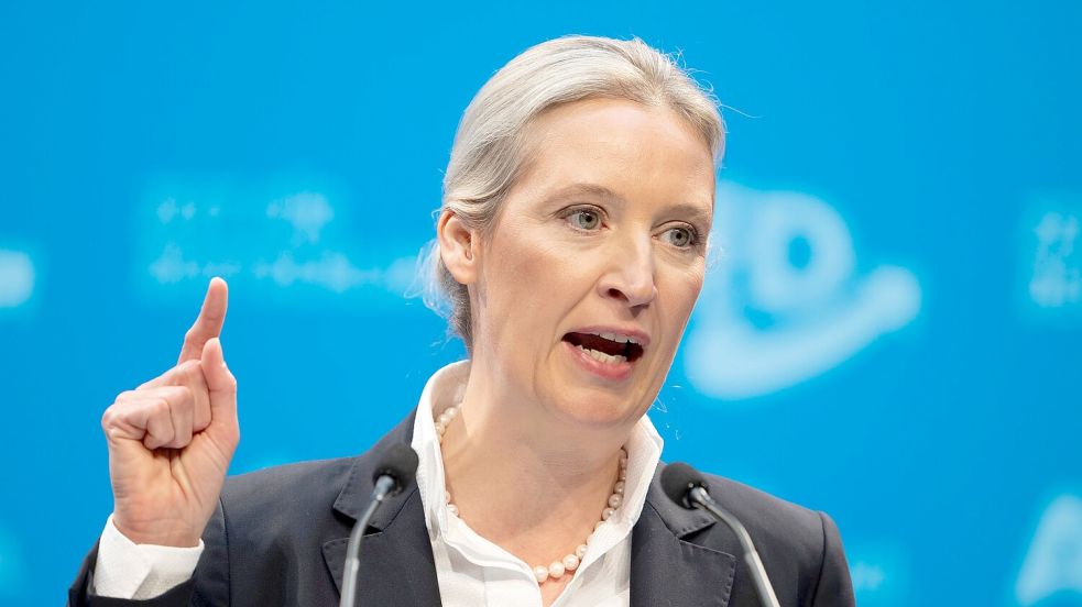 AfD-Chefin Alice Weidel beim Parteitag im Januar 2025 in Riesa: „Dann heißt es eben Remigration“ (Archivbild) Foto: Sebastian Kahnert