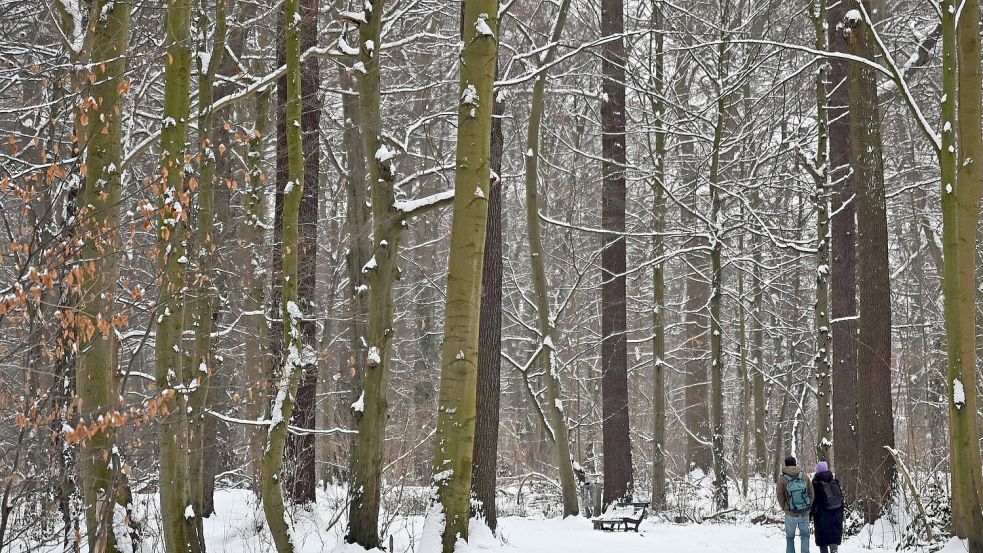 Auch am Donnerstag kann es gebietsweise schneien. Foto: Shireen Broszies