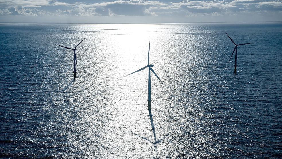 Bevor ein Energieunternehmen einen Windpark bauen kann, muss es sich in einer Ausschreibung gegen Mitbewerber durchsetzen - wenn es welche gibt. (Archivbild) Foto: Sina Schuldt