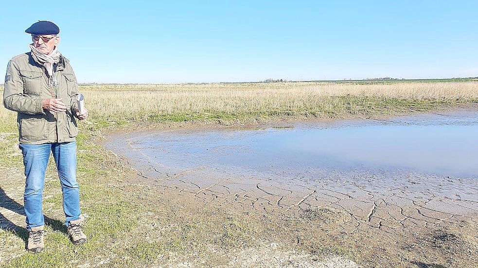 Oberdeichrichter Meint Hensmann steht im Midlumer Deichvorland am Rand einer Pütte, in der sich Schlick aus der Ems sammelt. Foto: Tatjana Gettkowski/Archiv