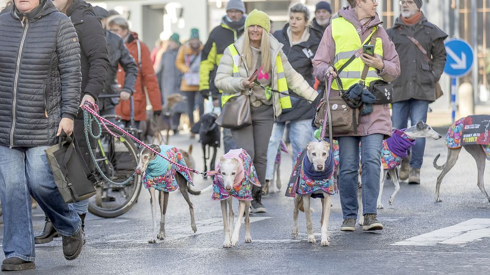 Die Mäntel machen nicht nur optisch was her, sondern dienen in erster Linie zum Kälteschutz der Hunde. Foto: Klaus Spielbüchler
