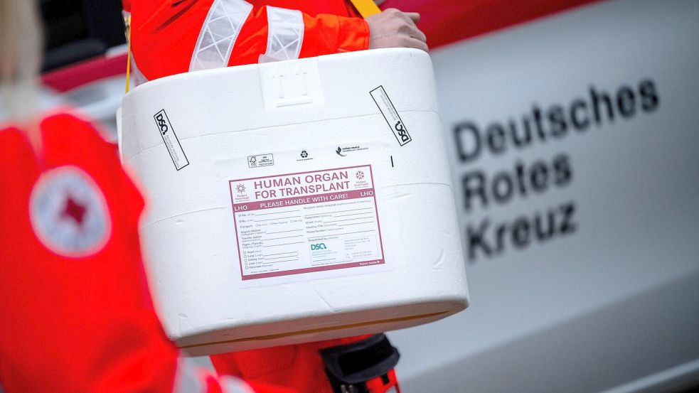 Die Krankenkasse muss nicht für Nierentransplantation in den Niederlanden zahlen – obwohl es dort schneller geht. Foto: Sebastian Gollnow/dpa