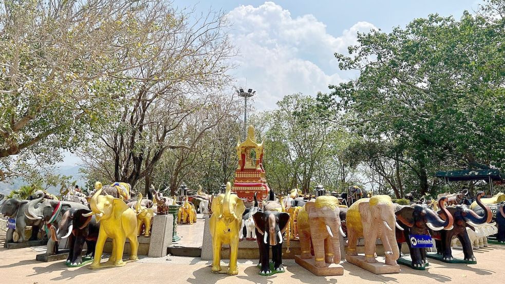 In Thailand werden Elefanten tief verehrt, auch in vielen Tempeln. (Archivbild) Foto: Carola Frentzen/dpa